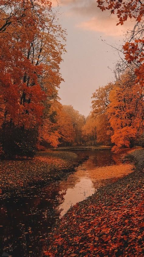 Pin de Hania Zaborowska en Autumn | Fondos de pantalla otoño, Paisaje ...