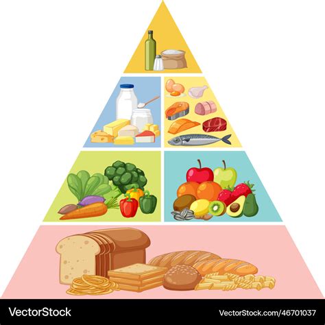 Healthy Food Pyramid Drawing Balanced Diet Chart Draw Vrogue Co ...