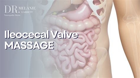 Ileocecal Valve Massage: Improve Digestion & immune function