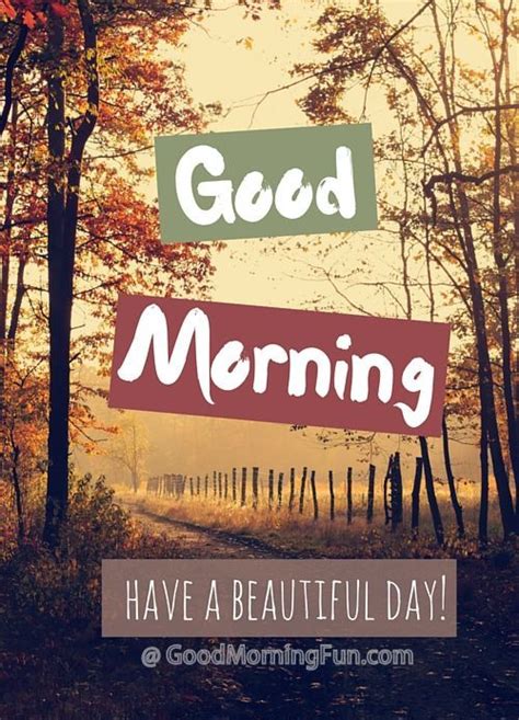 Good Morning - Have a Beautiful Day Quotes - Good Morning Fun