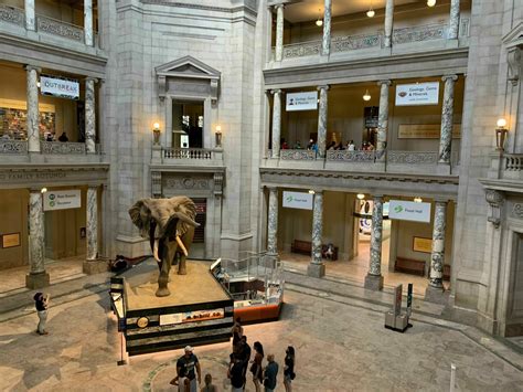 Smithsonian’s natural history museum reopens Friday - WTOP News