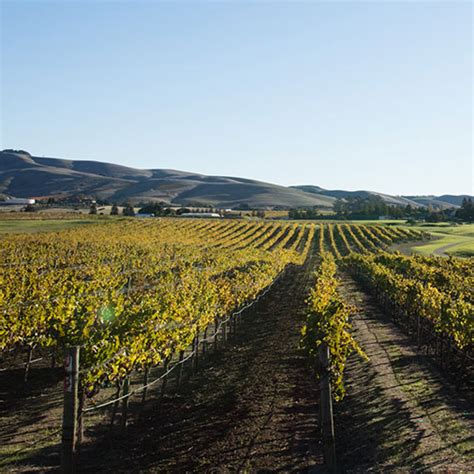 Sebastopol, California 2021 Travel Guide - Sonoma.com