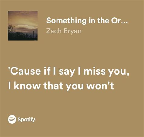 something in the orange - zach bryan spotify lyrics | Country music ...