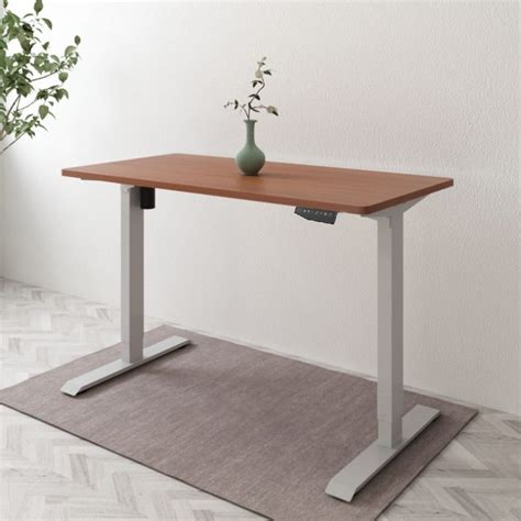 Flexispot EN1 Standing Desk Review & Comparison