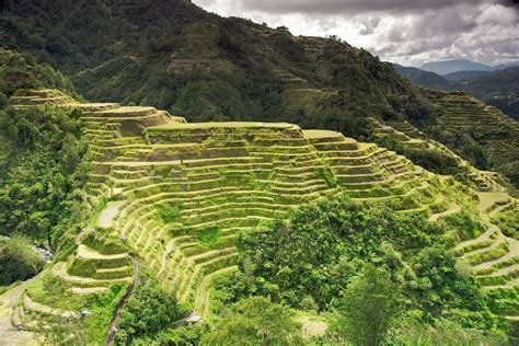 Banaue Rice Terraces Risk Elimination from UNESCO World Heritage List ...