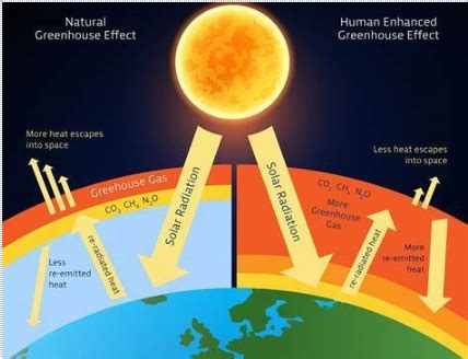 Greenhouse Effect : Working, Effects & Control Measures | Infinity Learn