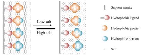 Hydrophobic Interaction