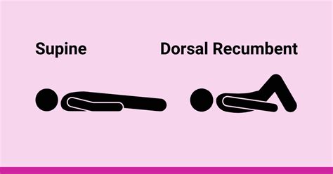 What is the Dorsal Recumbent Position? (Overview)