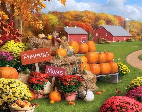 Fall Mums and Pumpkins, Fall Scene with Pumpkins HD wallpaper | Pxfuel