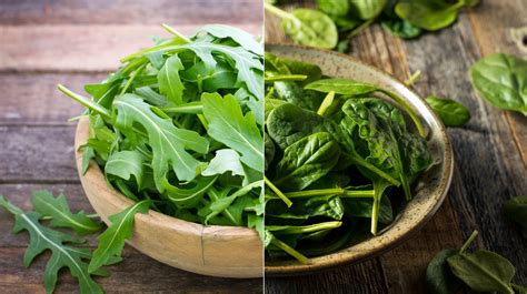 Spinach Vs. Arugula: Which Leafy Green Should You Choose? - The Daily ...