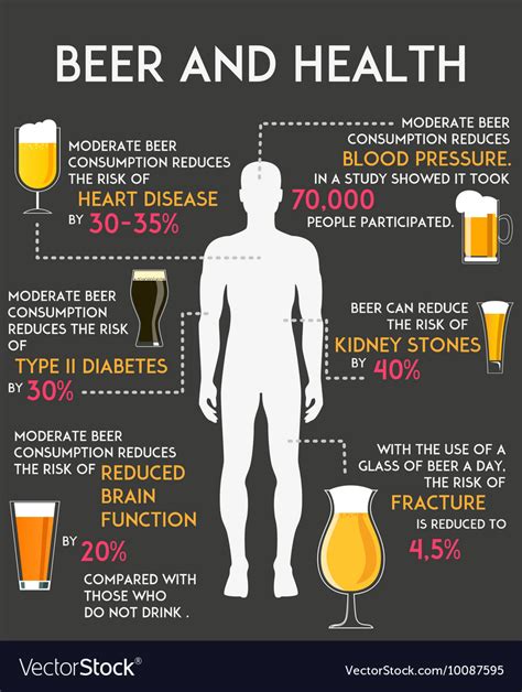 Drinking alcohol influence your body and health Vector Image