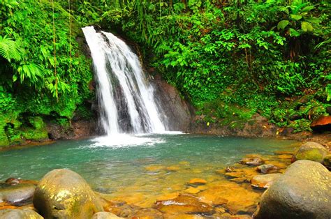 Guadeloupe National Park (Basse-Terre) - All You Need to Know BEFORE You Go