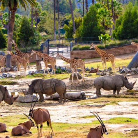 San Diego Zoo Safari Park Fortifies Wildland Fire Defense with FireIce ...