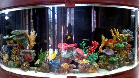 Most Beautiful Saltwater Fish Tanks ( All Time ) | RateMyFishTank.com