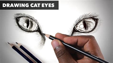 Cat Eyes - How To Draw - Realistic Cat Eyes Drawing - Step By Step ...