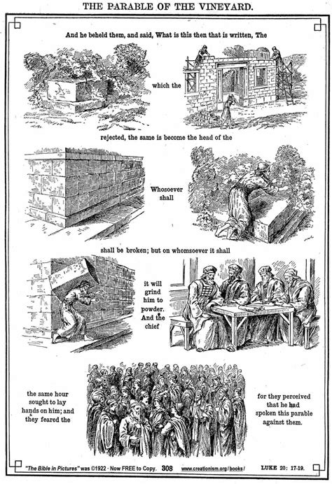 Parable of the Vineyard | Parables, Parables of jesus, Bible study