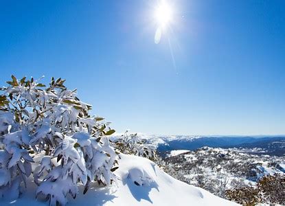 Snowy Mountains - craibas.al.gov.br