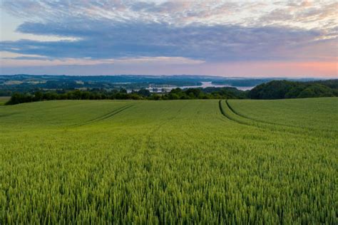 50+ Skanderborg Lake Stock Photos, Pictures & Royalty-Free Images - iStock