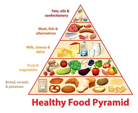 gráfico educacional da pirâmide alimentar saudável | Lebensmittel ...