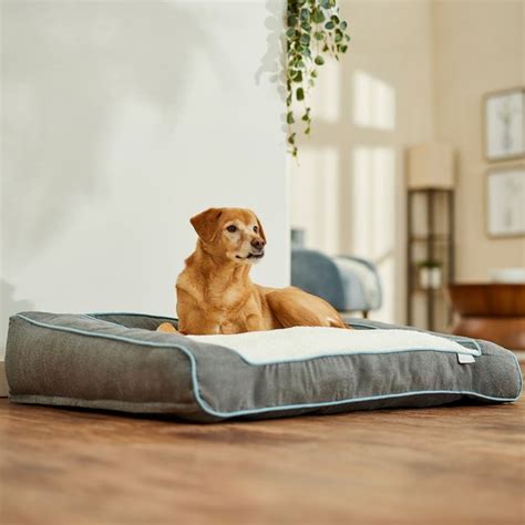 FRISCO Orthopedic Sofa Cat & Dog Bed with Removable Cover, Gray, X ...