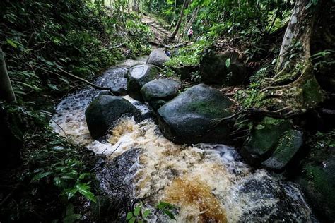 Baracara Falls, Also Called White Water Falls, in Region 7 (Redirected ...