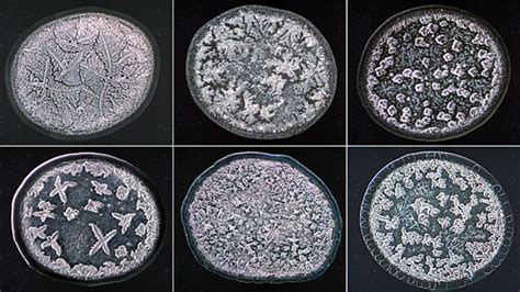 Different Types Of Tears Under Microscope