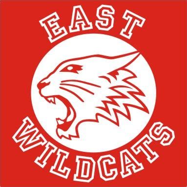 Pin by Weeping Soh on East High Wildcats | Wildcats high school musical ...