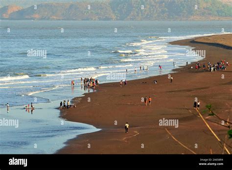 Velas beach, Ratnagiri, Maharashtra, India Stock Photo - Alamy