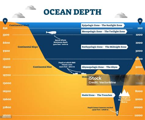 Ocean Depth Zones Infographic Vector Illustration Labeled Diagram Stock ...