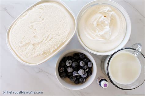 Grimace Shake Recipe - The Frugal Navy Wife