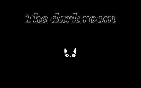 The Dark Room by Ari