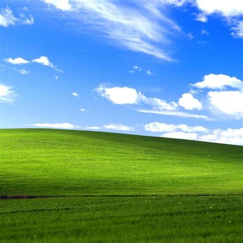 Location of the Microsoft Windows XP Default Wallpaper