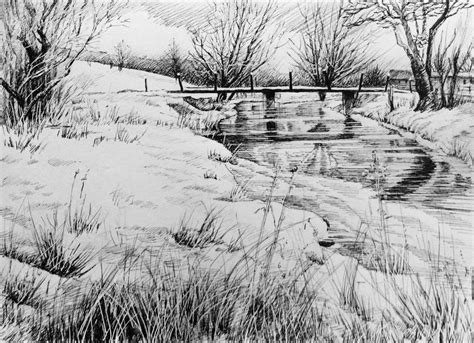 Trees in the Landscape. Pen and ink. Glyn Overton. | Landscape sketch ...