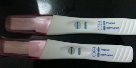 How Do Pregnancy Tests Work | Images and Photos finder