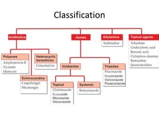 Anti-fungal drugs | PPT