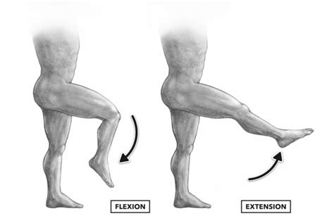 CrossFit | Movement About Joints, Part 6: The Knee