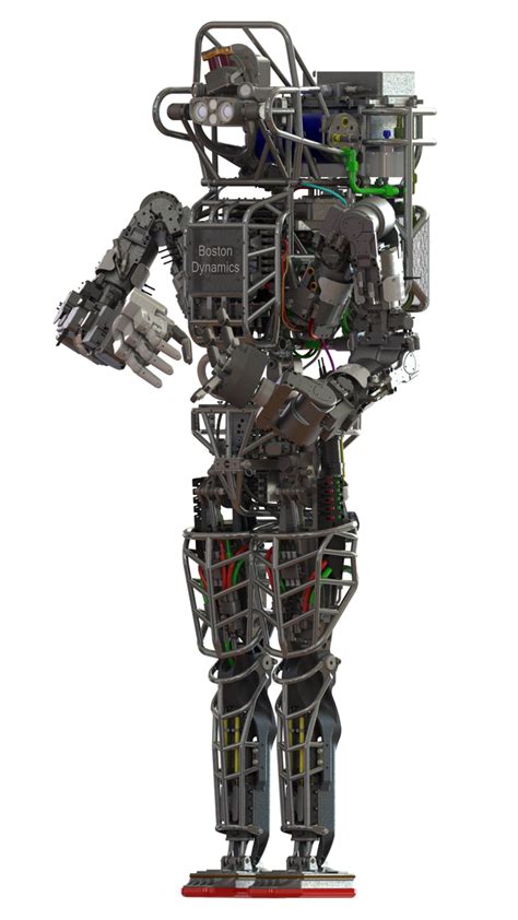 Atlas, A Six-Foot-Tall Humanoid Robot With Articulated Hands and Joints ...