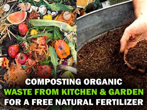 Composting Organic Waste from Kitchen and Garden for a Free Natural ...