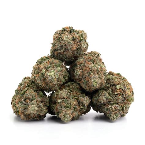 Hash Plant | Buy Low Green | Buy Weed Online | Dispensary Canada