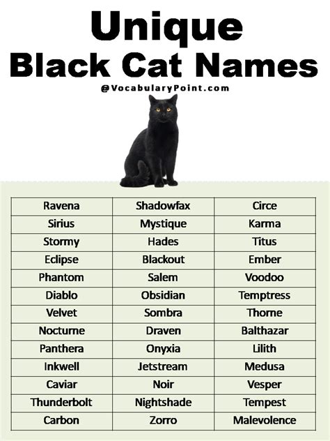 200+ Best Black Cat Names (Unique & Badass) - Vocabulary Point