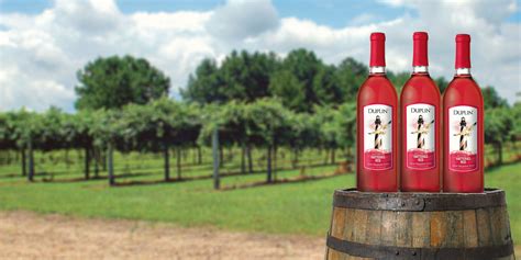 Duplin Winery | Here's why everyone thinks Hatteras Red is the best red ...