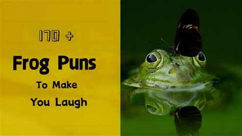 ️ 170+ Frog Puns & Jokes To Make You Laugh - Hi Miss Puff