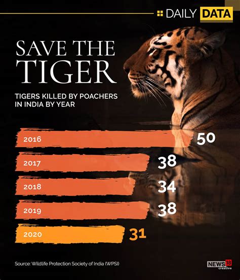 International Tiger Day: India committed to ensuring safe habitats for ...