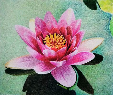 Water lily - Prismacolor Colored pencil - layering by f-a-d-i-l on ...