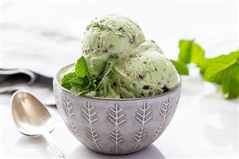 Mint Chocolate Chip Ice Cream - Saving Room for Dessert