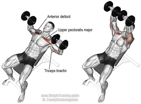 Incline dumbbell bench press instructions and video | WeightTraining.Guide