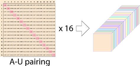 Figure 1 from AlphaGo-like Inverse RNA Folding algorithms | Semantic ...