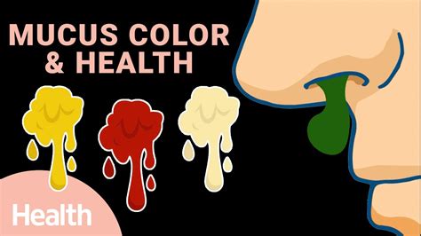 What Snot Says About Your Health | Deep Dives | Health - Uohere