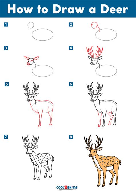 How to Draw a Deer