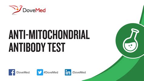 Anti-Mitochondrial Antibody (AMA) Test